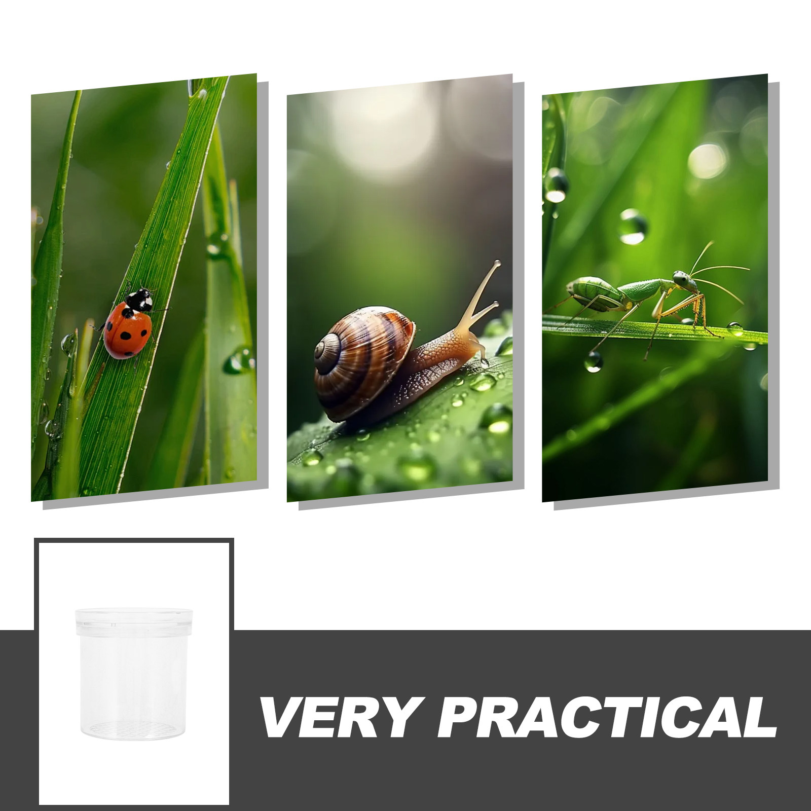 3X Magnifying Insect Observati - огляд і ціна Kids Education Tools